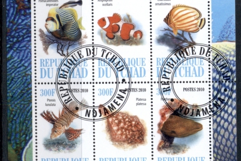 Chad-2010-Marine-Life