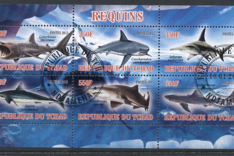 Chad-2013-Marine-Life