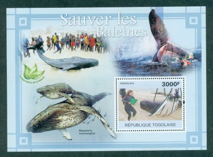 Togo-2011-Marine-Life