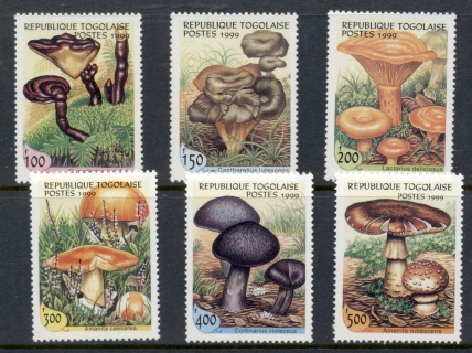 Togo-1999-Funghi