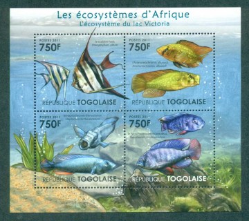 Togo-2011-Fish_3