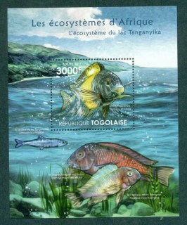 Togo-2011-Fish_4