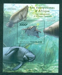 Togo-2011-Marine-Life_5