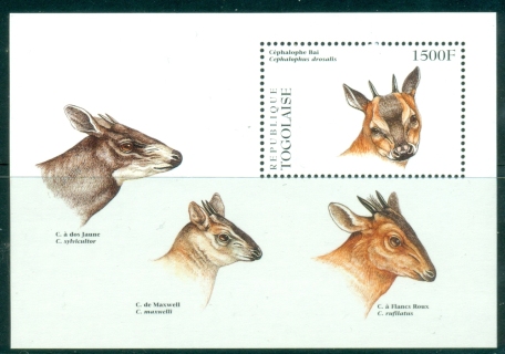 Togo-1996-WWF-Red-flanked-Duiker-MS-MUH