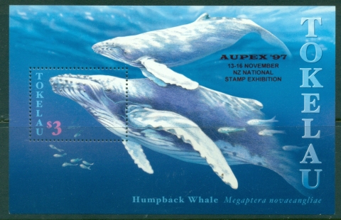 Tokelau-Is-1997-Humpback-Whales-MS-MUH