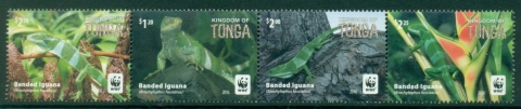 Tonga-2016-WWF-Banded-Iguana-MUH