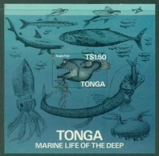 Tonga-1985-Marine-Life-of-the-Deep-MS-MLH