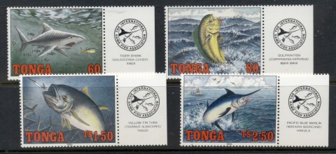 Tonga-1994-Marine-Life