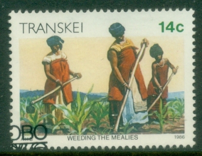 Transkei-1984-90-Xhosa-Lifestyle-14c-Weeding-FU
