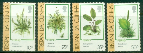 Tristan-da-Cunha-1989-Ferns-MLH