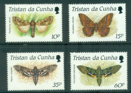 Tristan-da-Cunha-1990-Insects