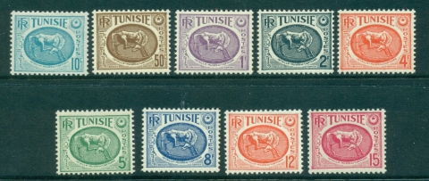 Tunisia-1950-Horse