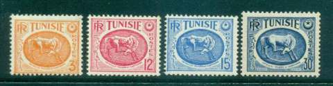 Tunisia-1951-52-Horse