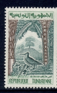 Tunisia-1959-Bird