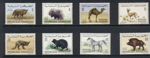 Tunisia-1968-69-Animals-MLH