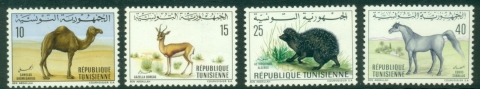 Tunisia-1969-Animals-MUH