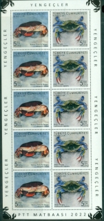 Turkey-2022-Marine-Life-Crabs-MS-MUH