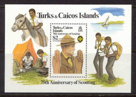 Turks-Caicos-Is-1982-Scouts-MS-MUH-Lot12000