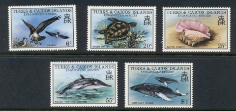 Turks-Caicos-Is-1979-Marine-Life-MUH