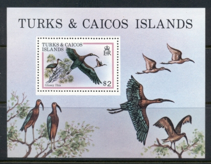 Turks-Caicos-Is-1980-Birds