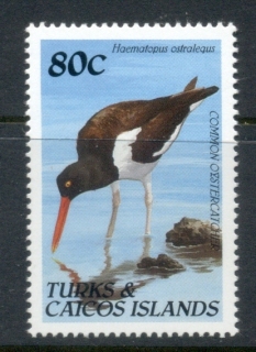 Turks-Caicos-Is-1990-Birds-80c-MUH