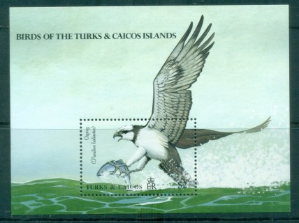 Turks-Caicos-Is-1990-Birds