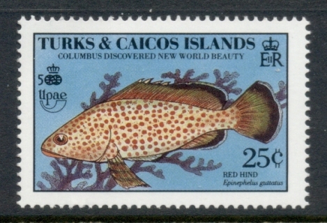 Turks-Caicos-Is-1990-Marine-Life_1