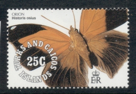 Turks-Caicos-Is-1991-Insects_1