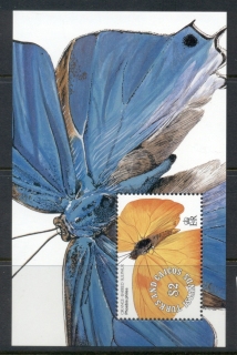 Turks-Caicos-Is-1991-Insects_6