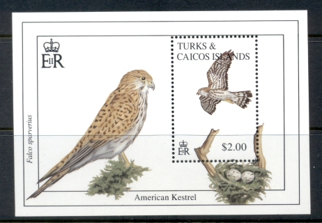 Turks-Caicos-Is-1993-Birds-MS-Kestrel-MUH