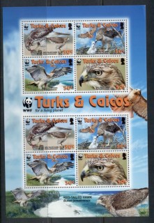 Turks-Caicos-Is-2007-WWF-Red-Tailed-Hawk