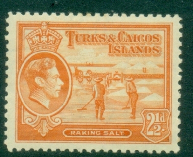 Turks-Caicos-Is-1938-45-KGVI-Pictorial-2½d-Raking-Salt-MLH