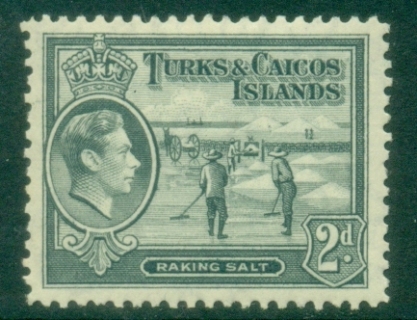 Turks-Caicos-Is-1938-45-KGVI-Pictorial-2d-Raking-Salt-MLH