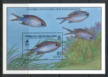 Turks-Caicos-Is-1990-Marine-Life_4