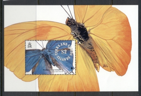 Turks-Caicos-Is-1991-Insects_7