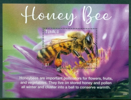 Tuvalu-2022-Insects-Honey-Bee-MS-MUH_2