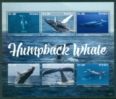 Tuvalu-2022-Marine-Life-Humpback-Whales-MS-MUH_1