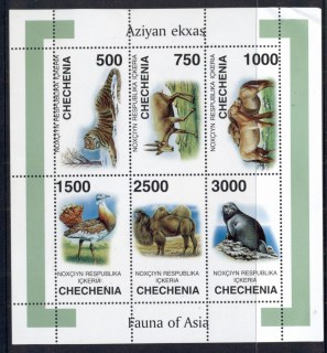 Chechenia-2000-c-jpg-Fauna-of-Asia-MS-MUH.jpg