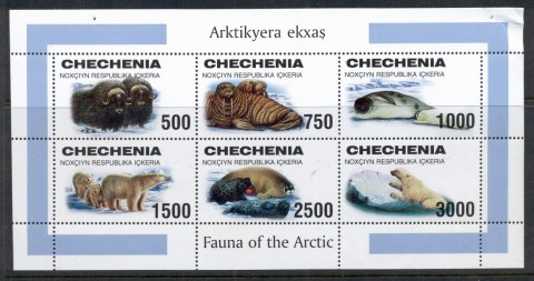 Chechenia-2000-c-jpg-Fauna-of-the-Arctic-crease-TRC-MS-MUH.jpg