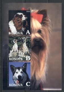 Kosova-2000-c-jpg-Dog-MS-MUH.jpg