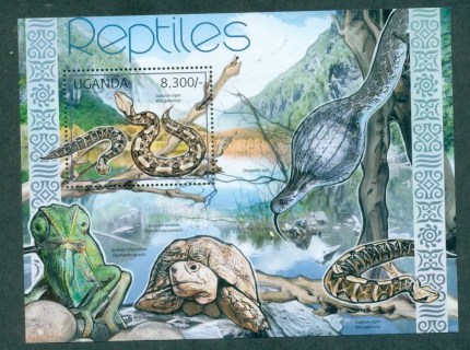 Uganda-2012-Reptiles