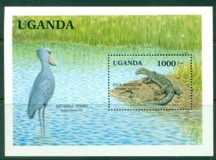 Uganda-1991-Fauna-of-Ugandas-Wetlands-Nile-Monitor-Shoebill-Stork-MS
