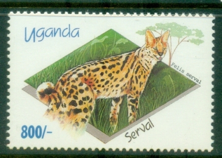 Uganda-1992-Wildlife-800sh-Serval-MUH