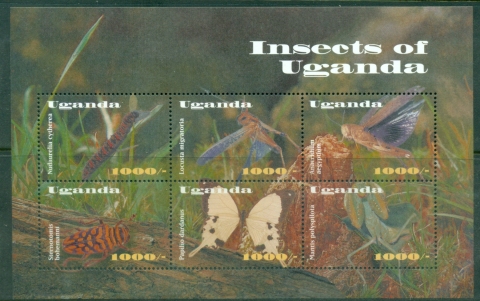 Uganda-2002-Insects-of-Uganda-MS-MUH_1