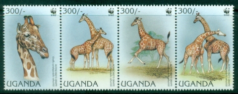 Uganda-1997-WWF-Rothschilds-Giraffe-MUH
