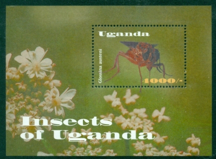 Uganda-2002-Insects-of-Uganda-MS-MUH_2