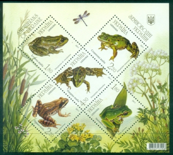 Ukraine-2011-Fauna-Frogs-MS-MUH