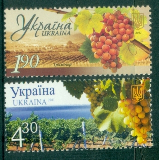 Ukraine-2011-Winemaking-MUH