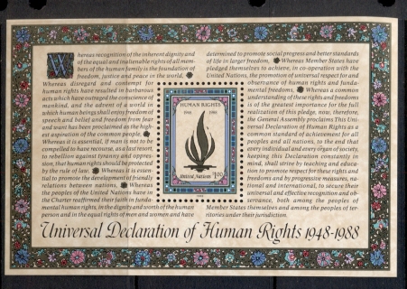 UN-New-York-1988-Human-Rights-MS-MUH