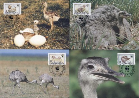 Uruguay-1993 WWF Greater Rhea, bird Maxicards